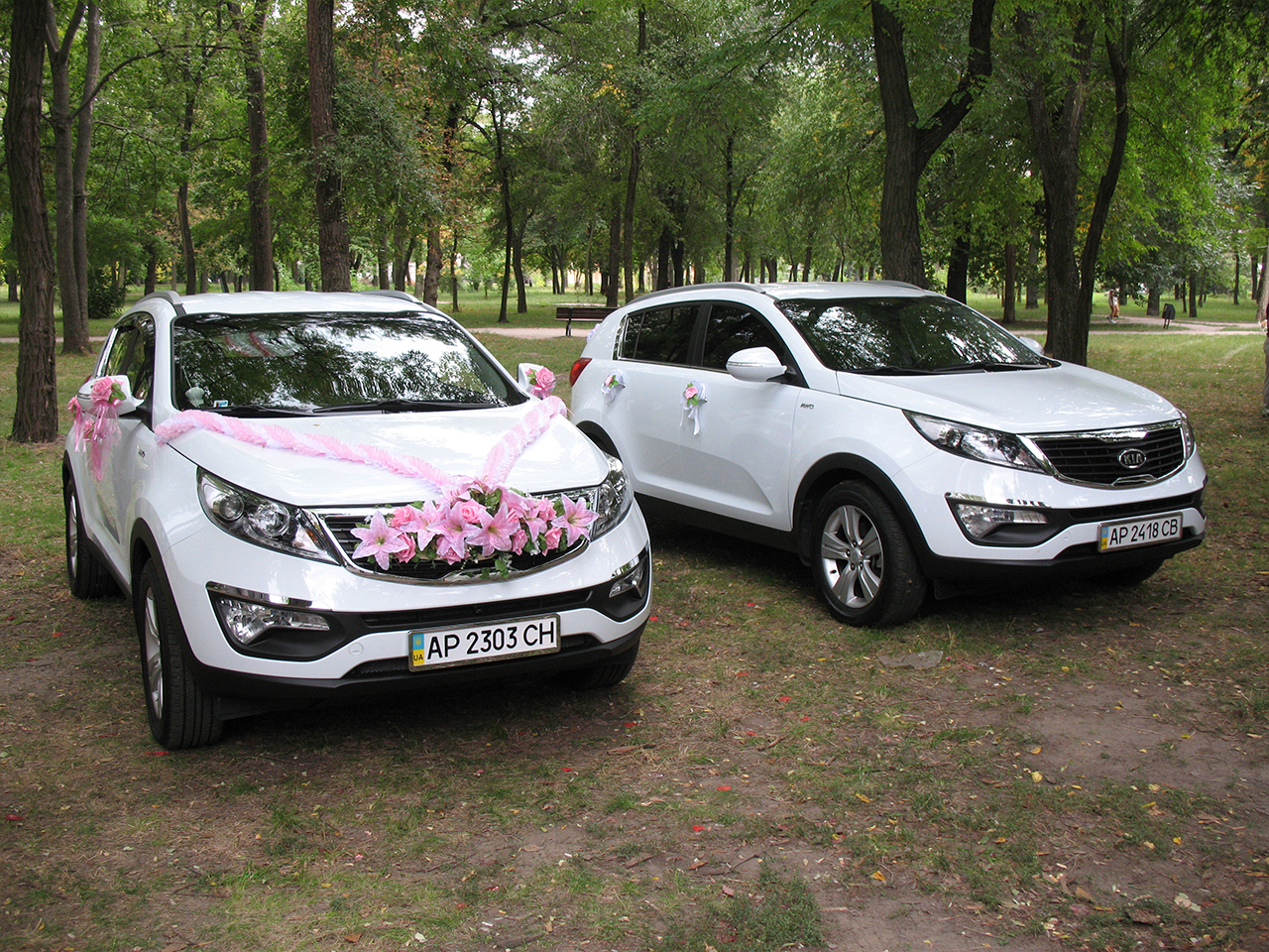 kia sportage 19